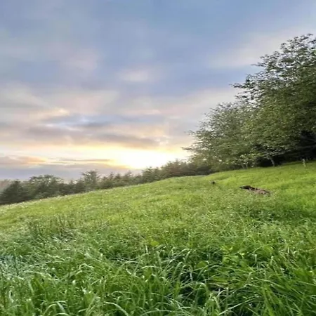 Apartamento Elegante Mit Aussenpool Schwarzwald Herrischried