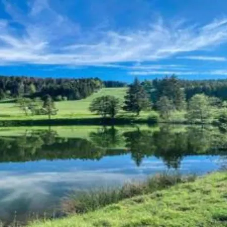 Elegante Mit Aussenpool Schwarzwald Apartamento Herrischried