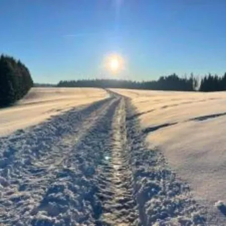 Elegante Mit Aussenpool Schwarzwald *