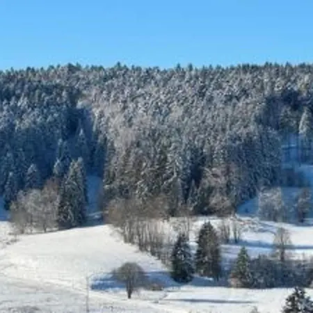 Appartamento Elegante Mit Aussenpool Schwarzwald Herrischried