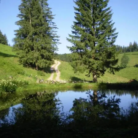 Elegante Mit Aussenpool Schwarzwald * Herrischried