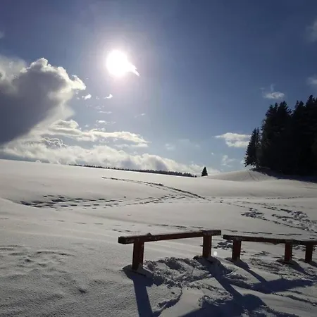 Elegante Mit Aussenpool Schwarzwald Herrischried