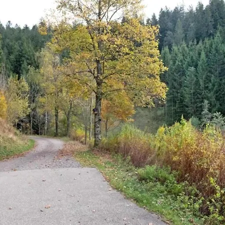 Elegante Mit Aussenpool Schwarzwald Appartamento Herrischried